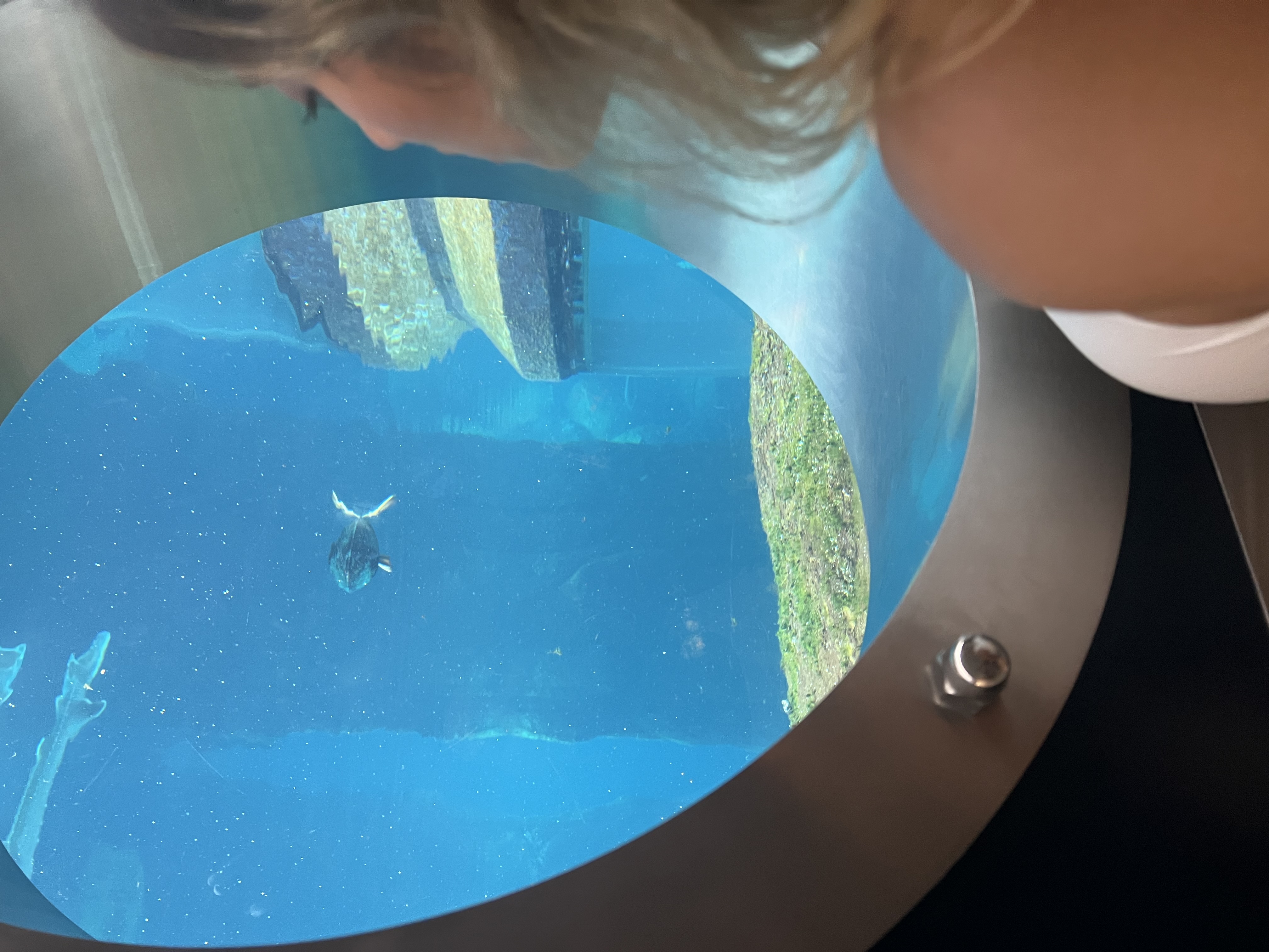 Inside the Biodome
