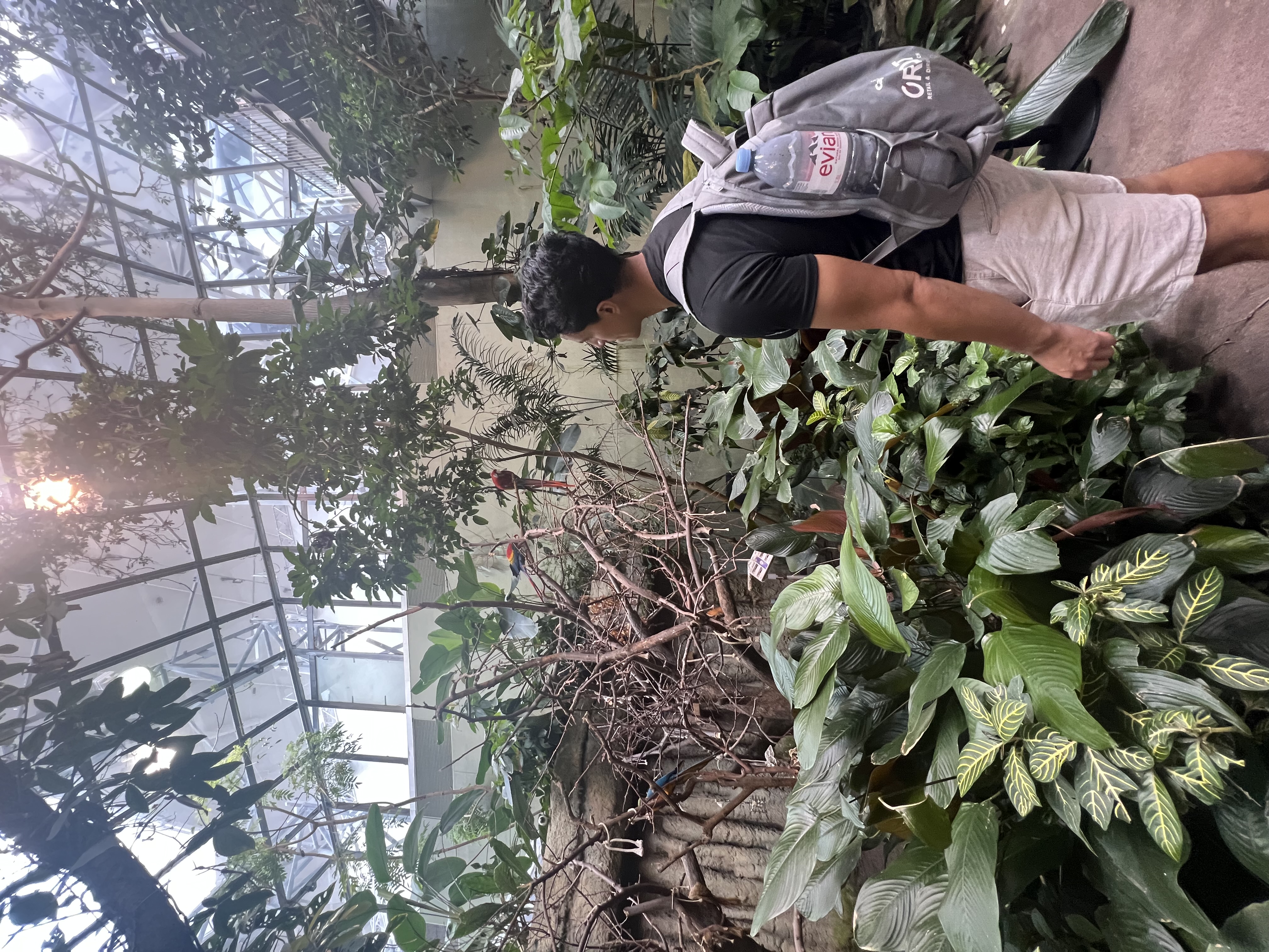 Inside the Biodome